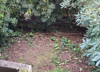 Giardino - Villa a Schiera viale Roma, 383, Massa - foto 6