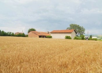 Casale Carrù - foto 1