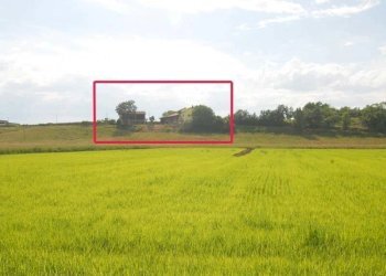 Casale Carrù - foto 9