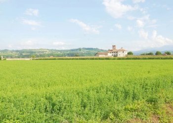 Casale Carrù - foto 10