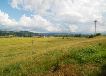 Casale Carrù - foto 11