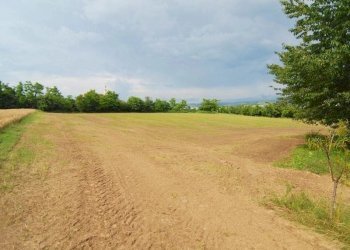 Casale Carrù - foto 17