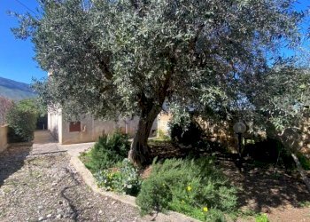 Giardino - Villa via Alcide De Gasperi, Cinisi - foto 38
