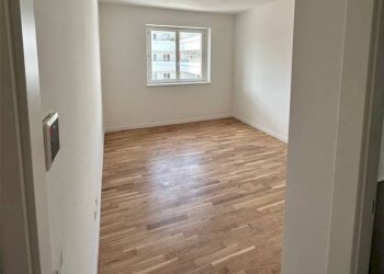 Trilocale Jerago con Orago - foto 4