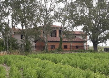 Villa Unifamiliare Medicina - foto 2