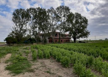 Villa Unifamiliare Medicina - foto 15