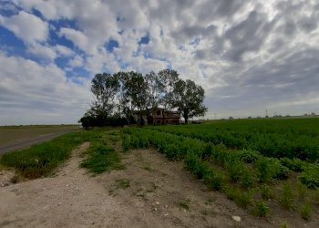 Villa Unifamiliare Medicina - foto 16