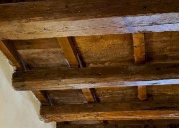 Negozio Ferrara - foto 3