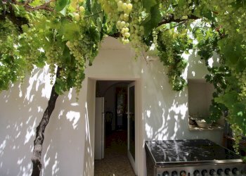 Trullo Strada Cupa-rampone, Martina Franca - foto 3