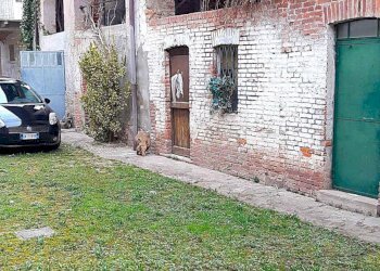 Rustico Via Roma, Roasio - foto 12