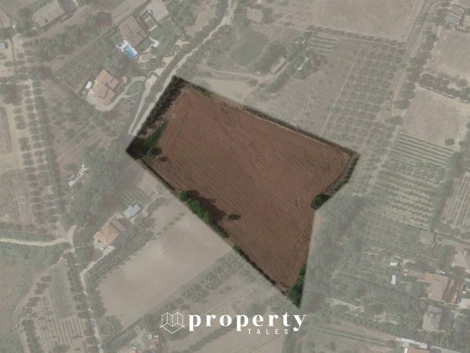 Agricultural land Monteprandone - photo 2