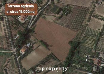 Agricultural land Monteprandone - photo 1