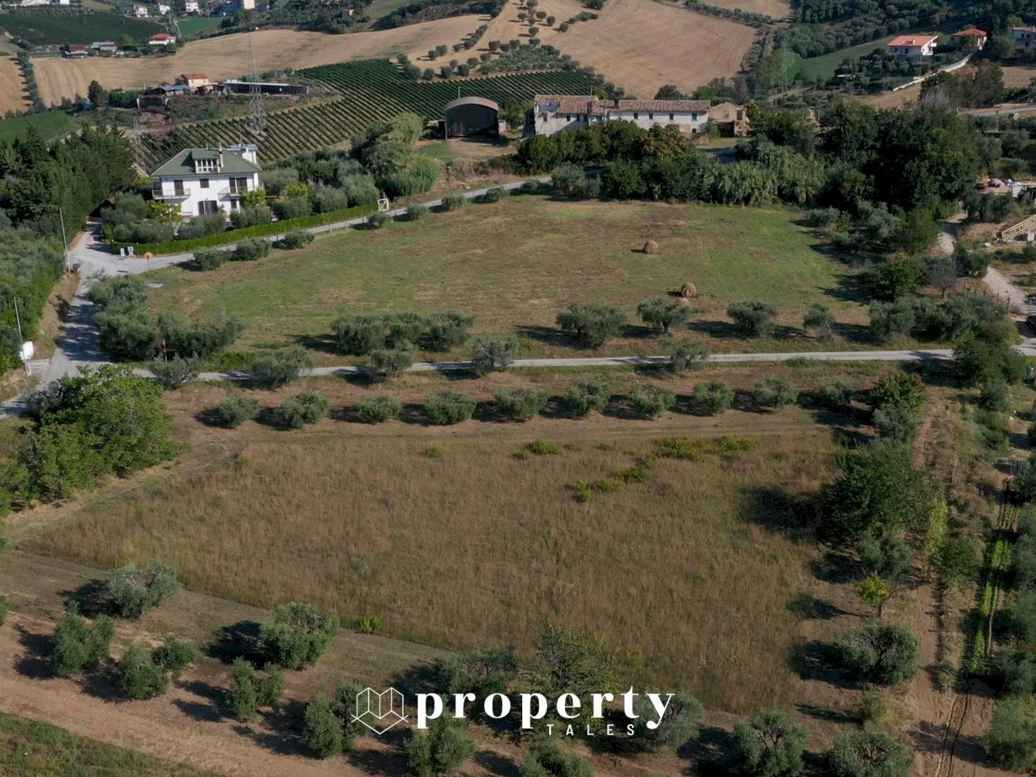 Agricultural land Monteprandone - photo 3