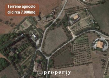 Agricultural land Monteprandone - photo 1