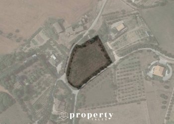 Agricultural land Monteprandone - photo 2