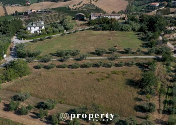 Agricultural land Monteprandone - photo 3