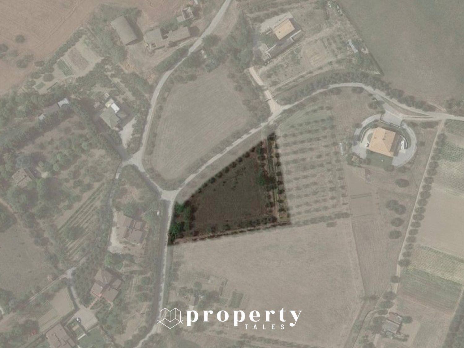 Agricultural land Monteprandone - photo 2