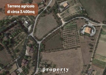 Agricultural land Monteprandone - photo 1