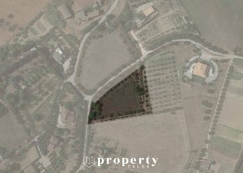 Agricultural land Monteprandone - photo 2