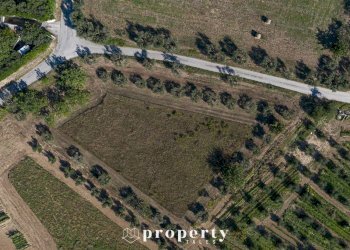 Agricultural land Monteprandone - photo 3