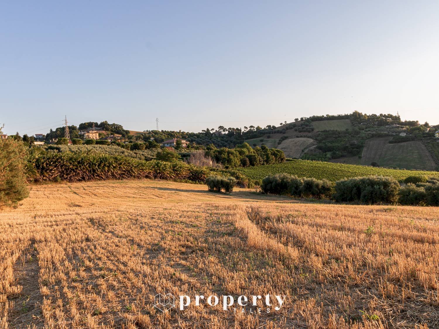 Agricultural land Monteprandone - photo 3