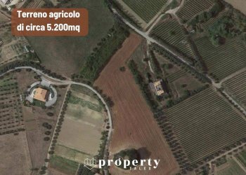 Agricultural land Monteprandone - photo 1