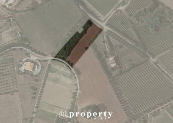 Agricultural land Monteprandone - photo 2