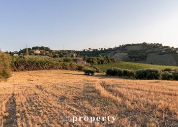 Agricultural land Monteprandone - photo 3