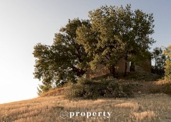 Rustic Monteprandone - photo 8