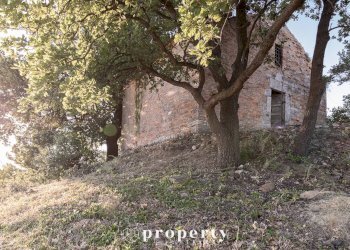 Rustic Monteprandone - photo 9