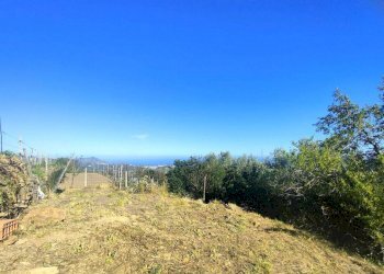 giardino laterale - Villa Regione Colla, Civezza - foto 13