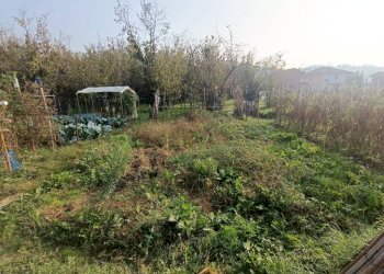 Terreno - Rustic strada Gavazza Picchi, 26, Mondovì - photo 6