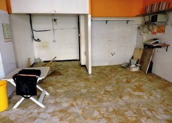 Interni - Negozio via Sant'Alberto, 39r, Genova (zona Sestri Ponente) - foto 4