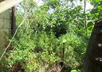 IMG_4128.JPG - Casa indipendente Tresnuraghes - foto 28