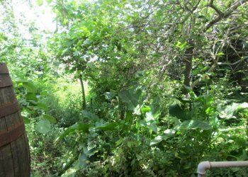 IMG_4129.JPG - Casa indipendente Tresnuraghes - foto 29