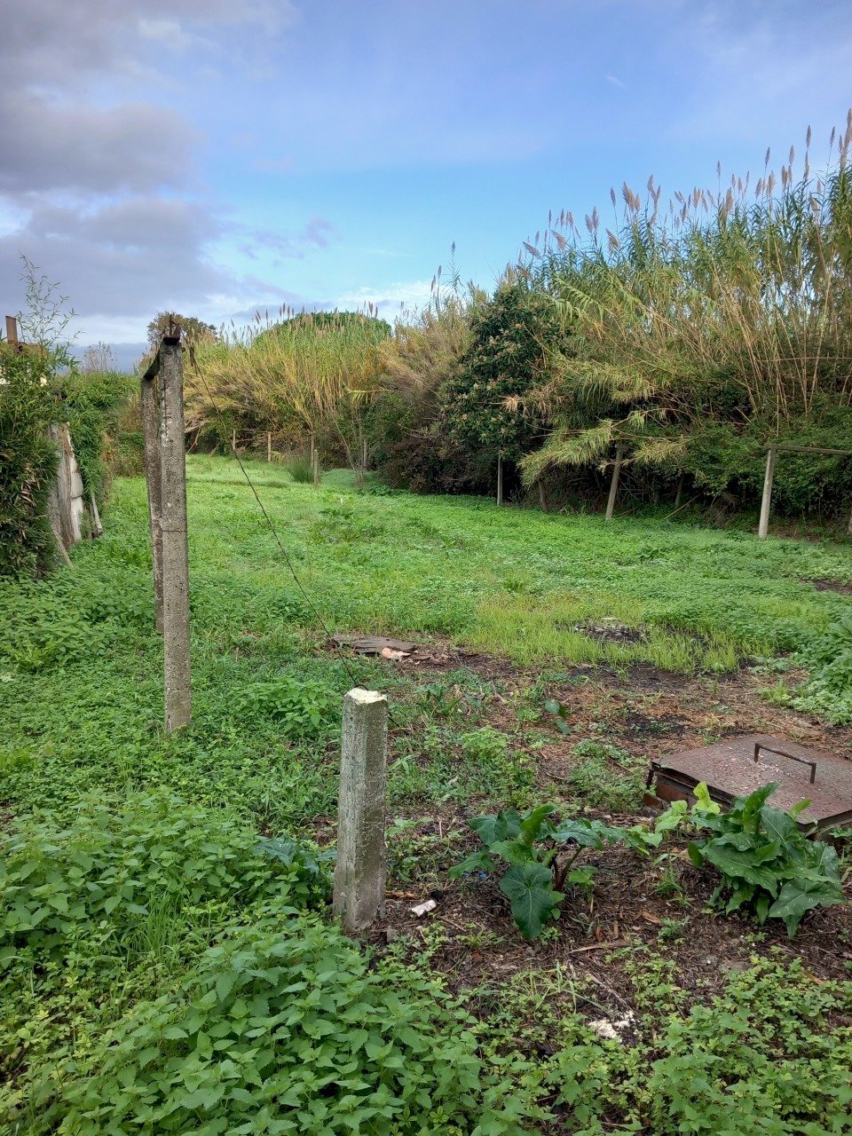 20231116_091603.jpg - Independent house Sarzana - photo 3