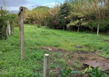 20231116_091603.jpg - Independent house Sarzana - photo 3