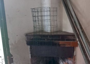 20231116_091659.jpg - Independent house Sarzana - photo 5