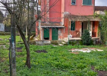 20231116_091802.jpg - Independent house Sarzana - photo 6