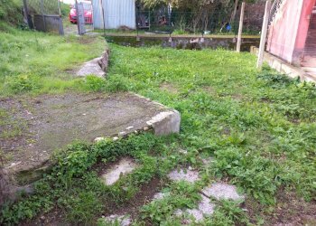 20231116_091842.jpg - Independent house Sarzana - photo 7