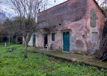 20231116_092012.jpg - Independent house Sarzana - photo 9