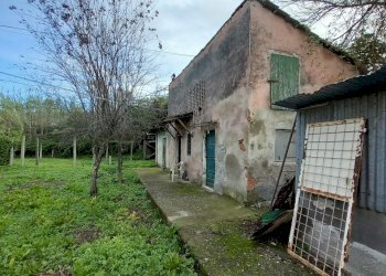 20231116_092200.jpg - Independent house Sarzana - photo 10