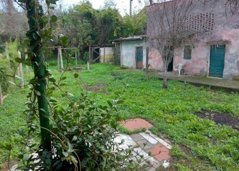 20231116_092427.jpg - Independent house Sarzana - photo 14