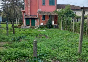 20231116_092508.jpg - Independent house Sarzana - photo 15