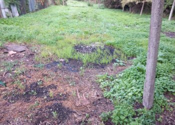 20231116_092513.jpg - Independent house Sarzana - photo 16