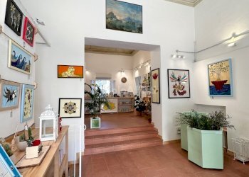 IMG_3453.jpg - Commercial Premises Corso Giacomo Matteotti 4, Faenza - photo 1