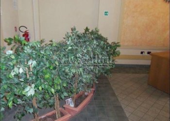 interno stabile - Two-room apartment via Brione, Torino - photo 20