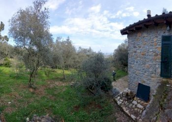 d9671ca3-ee12-4b77-a5c2-8e9bb1be413a.JPG - Rustico Via Caffaggio 10, Ameglia - foto 6