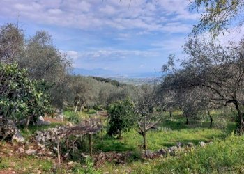 thumbnail_6bf4b00a-e1e9-4d75-9003-73996e0605fe.jpg - Rustico Via Caffaggio 10, Ameglia - foto 8