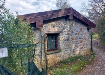 thumbnail_6d55a270-2d87-40a3-b2be-fefcb06ef9fd.jpg - Rustico Via Caffaggio 10, Ameglia - foto 9